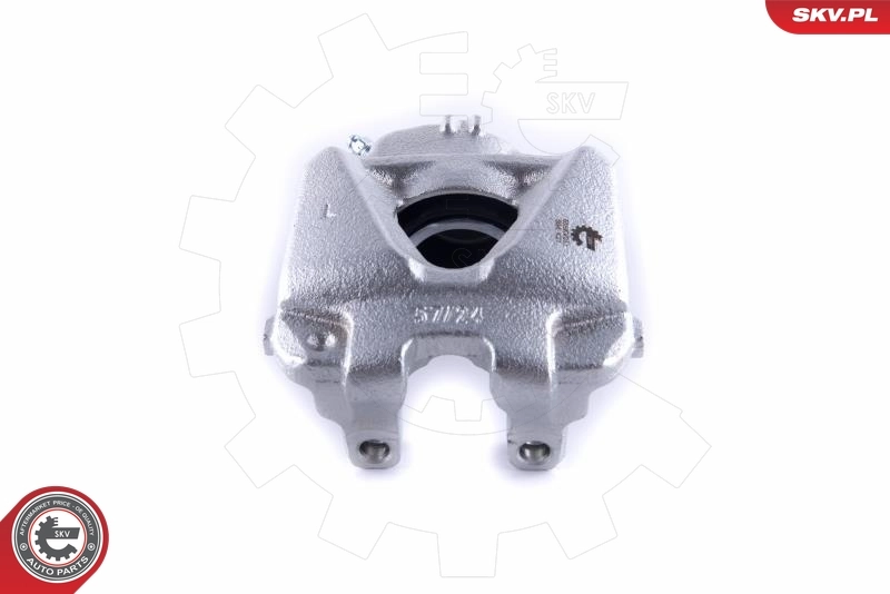 Brake Caliper 55SKV251