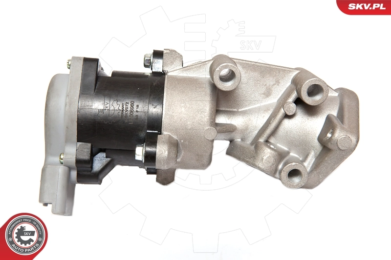 EGR Valve 14SKV072