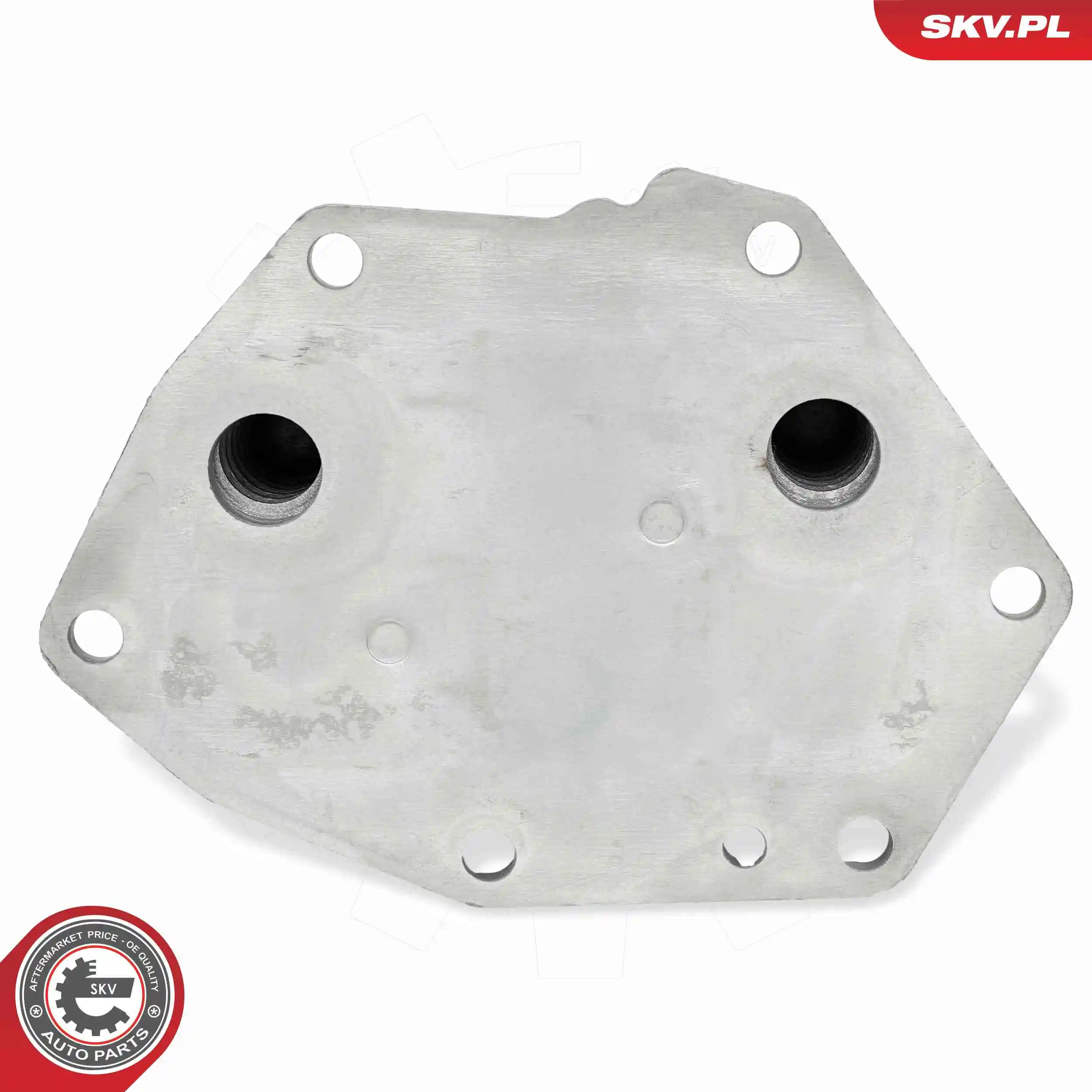 Oil Cooler, engine oil 31SKV277