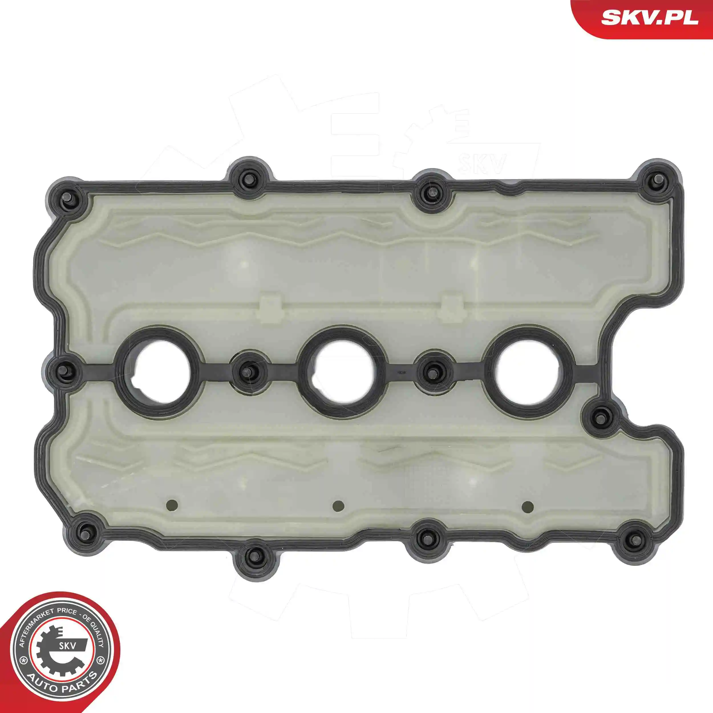 Cylinder Head Cover 48SKV163