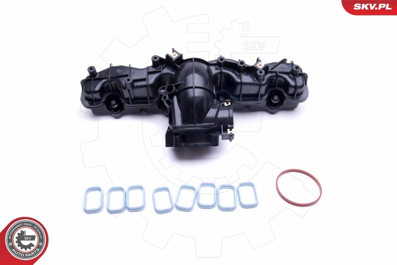 Intake Manifold Module 49SKV033