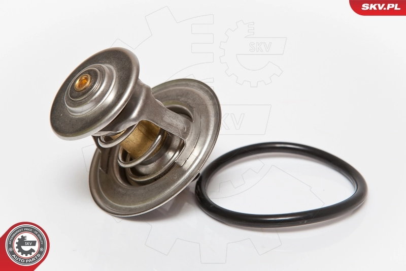 Thermostat, coolant 20SKV003