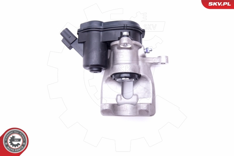 Brake Caliper 42SKV553