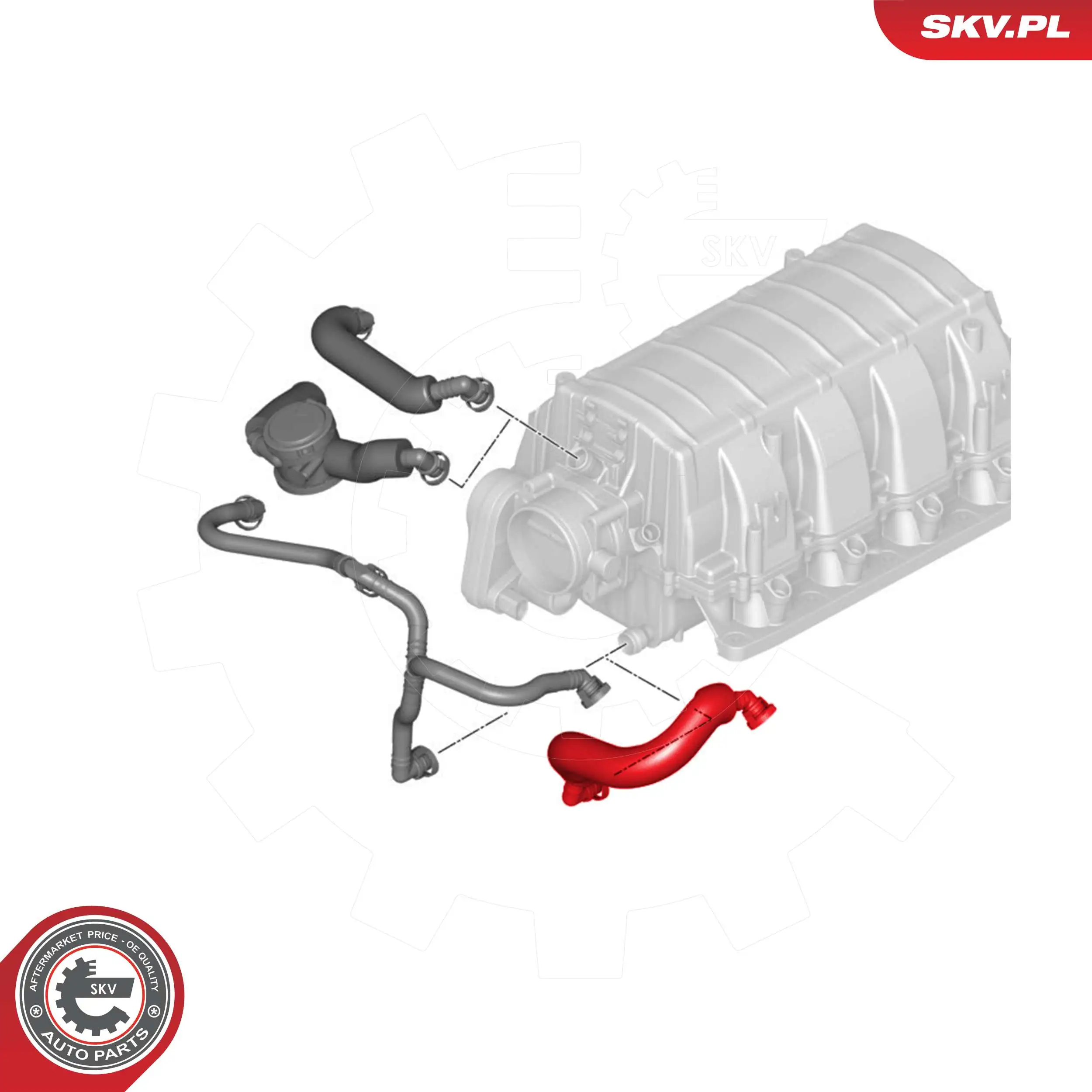 Hose, crankcase ventilation 54SKV745