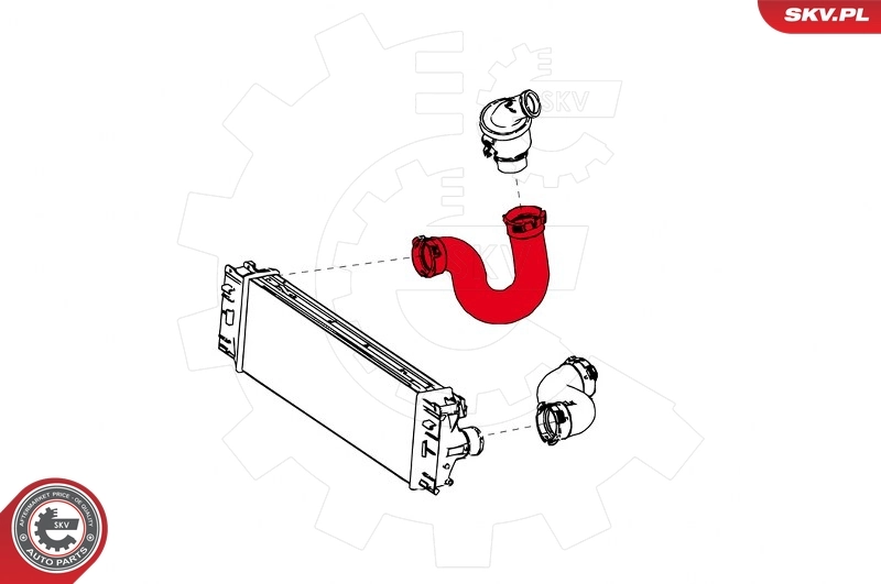 Charge Air Hose 24SKV765
