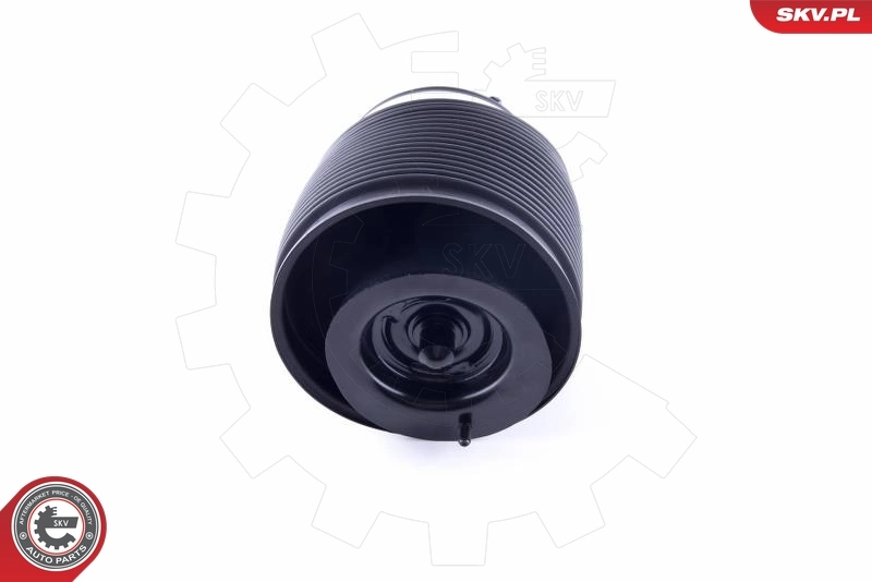 Air Spring, suspension 58SKV009