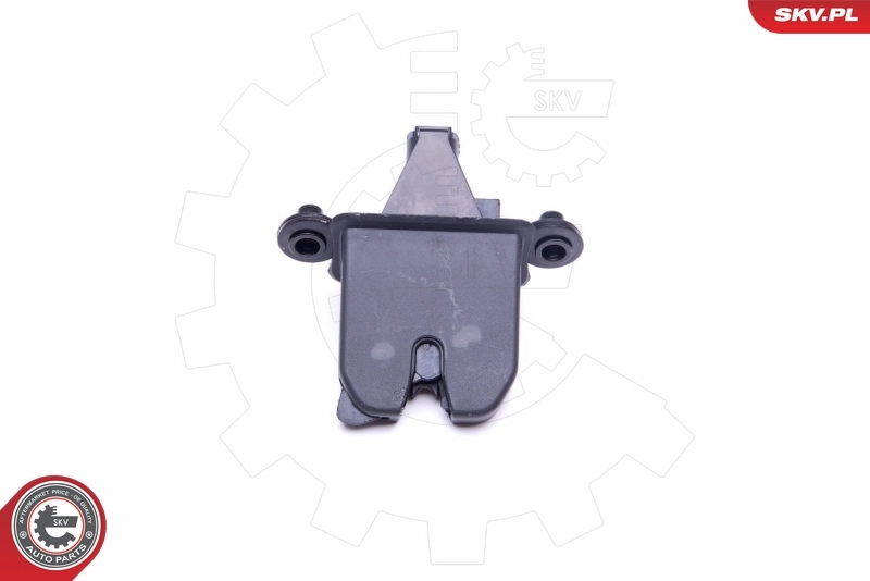 Tailgate Lock 16SKV220