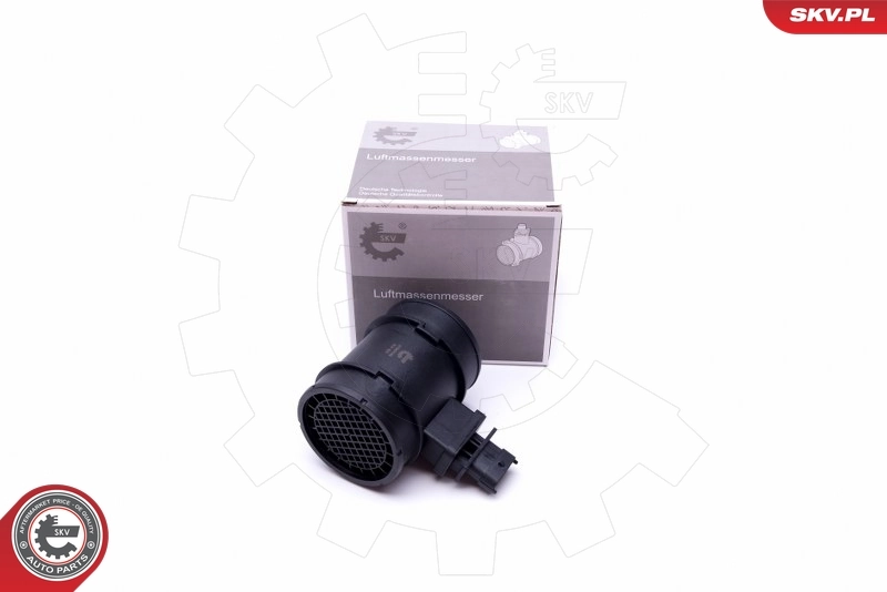 Mass Air Flow Sensor 07SKV165