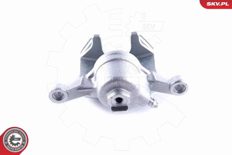 Brake Caliper 50SKV844