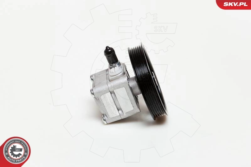 Hydraulic Pump, steering 10SKV177