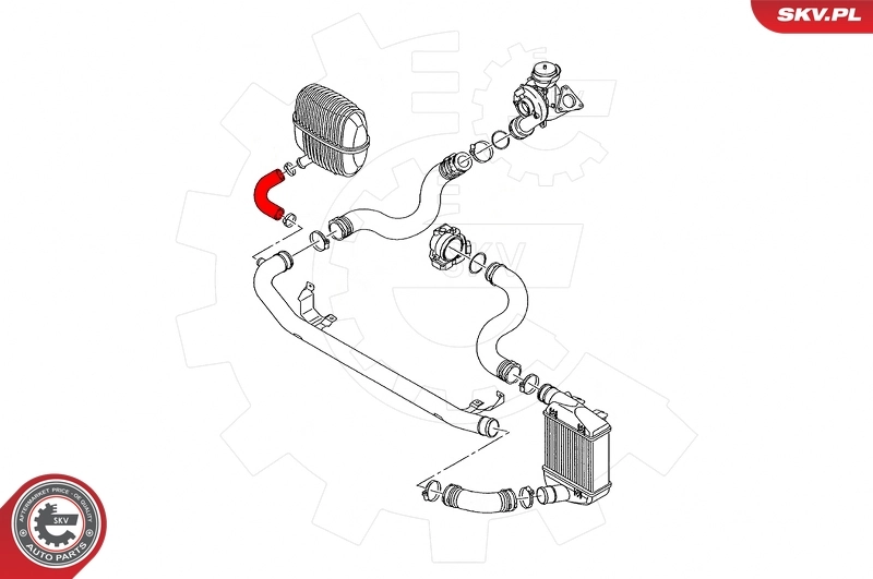 Charge Air Hose 43SKV408