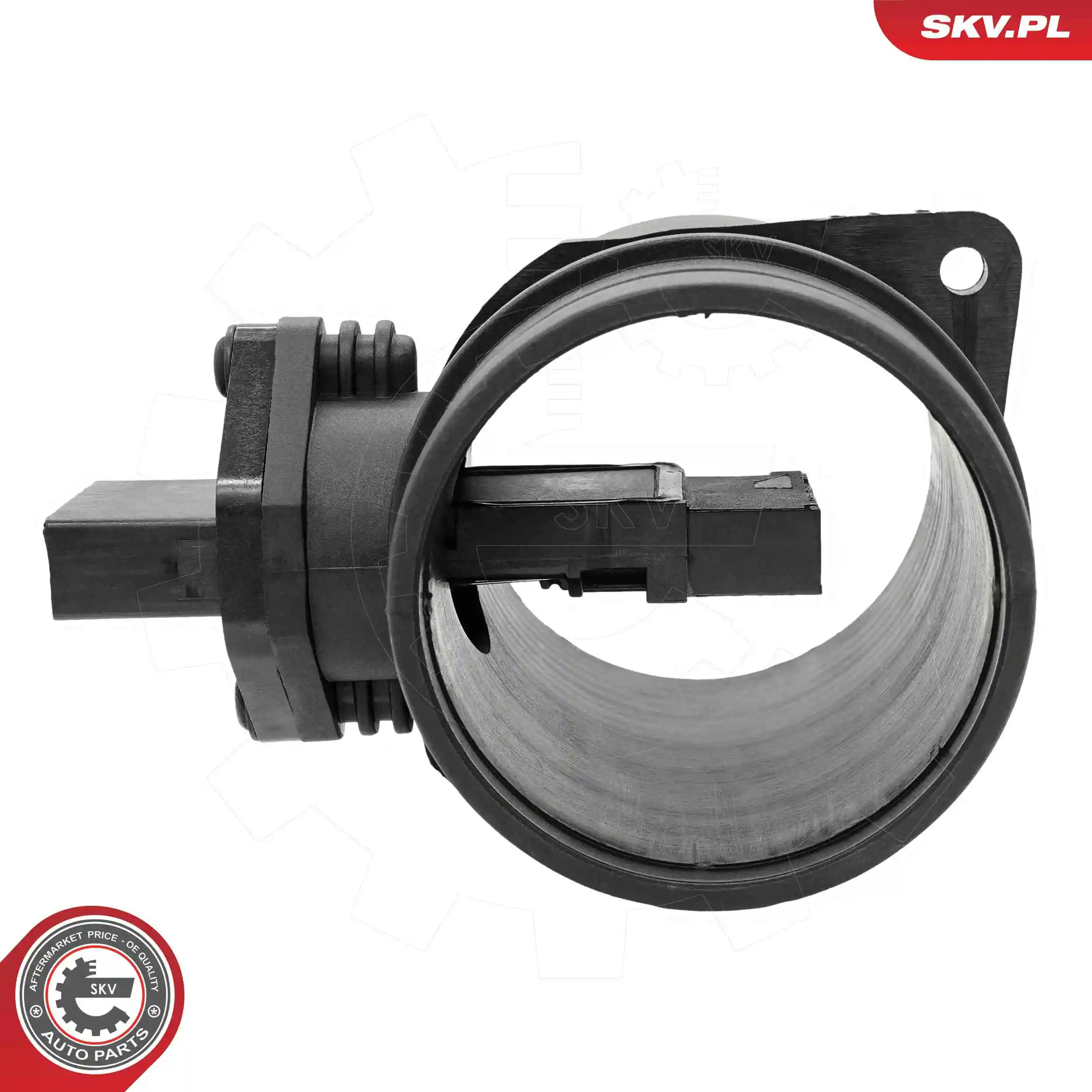 Mass Air Flow Sensor 07SKV313