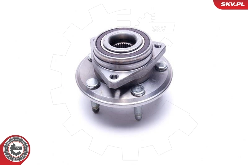 ESEN SKV 29SKV443 Wheel Bearing Kit