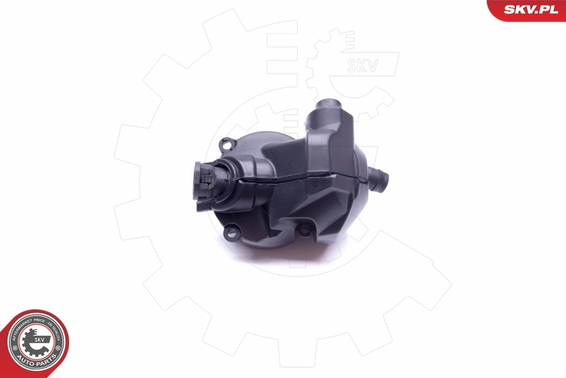 Oil Separator, crankcase ventilation 31SKV077
