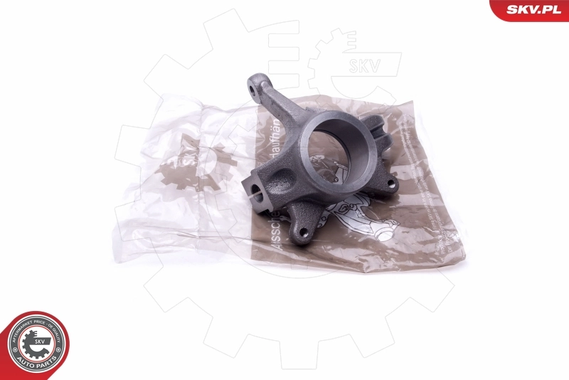 Steering Knuckle, wheel suspension 47SKV222