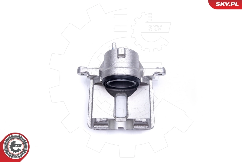 Brake Caliper 23SKV496