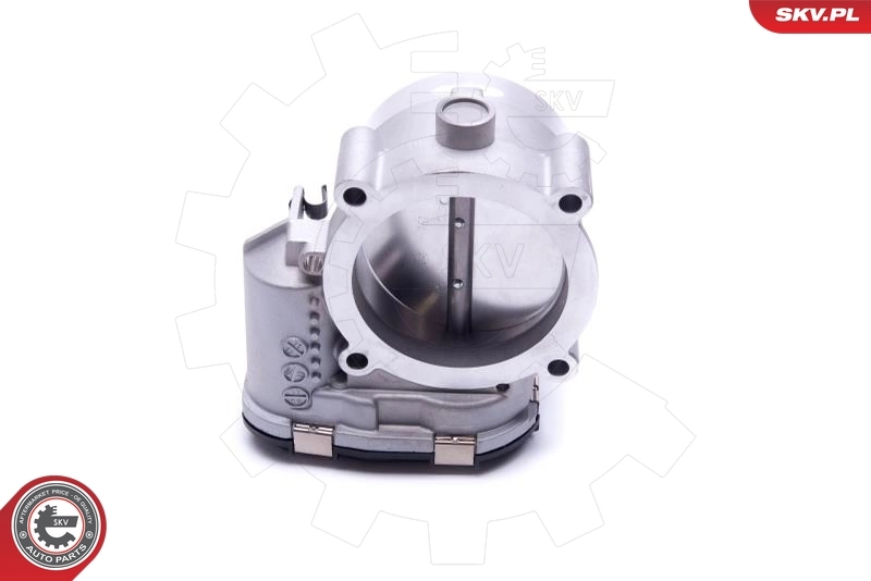 Throttle Body 12SKV109