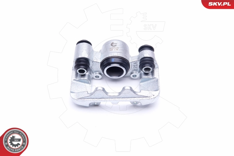 Brake Caliper 46SKV173