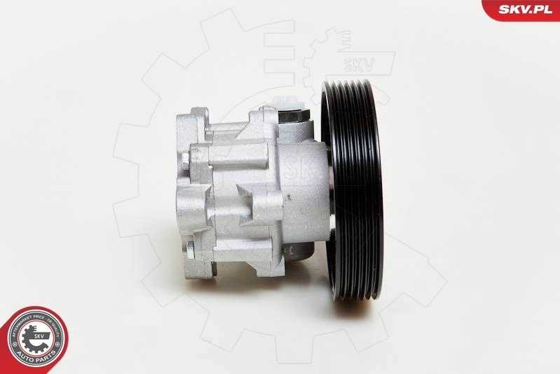 Hydraulic Pump, steering 10SKV060