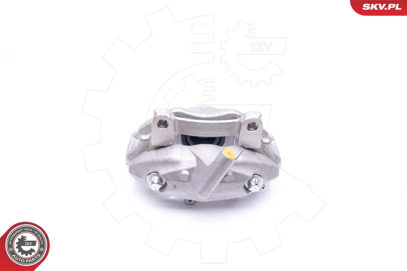 Brake Caliper 42SKV452