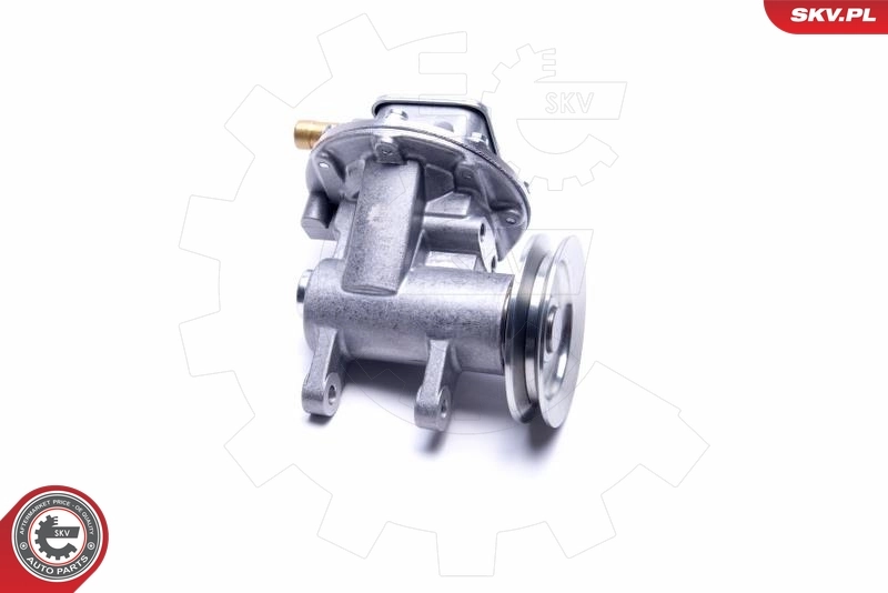 ESEN SKV 18SKV037 Vacuum Pump, braking system