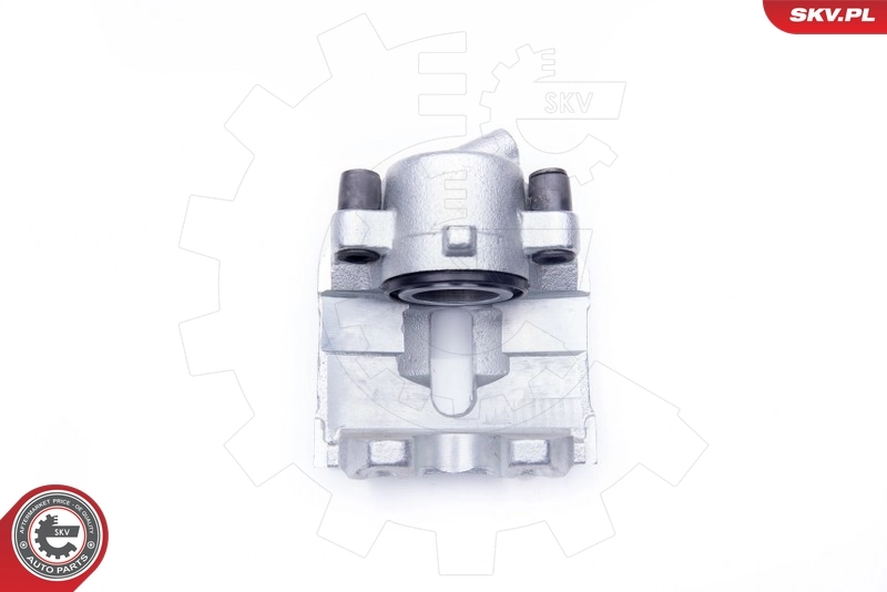Brake Caliper 42SKV022