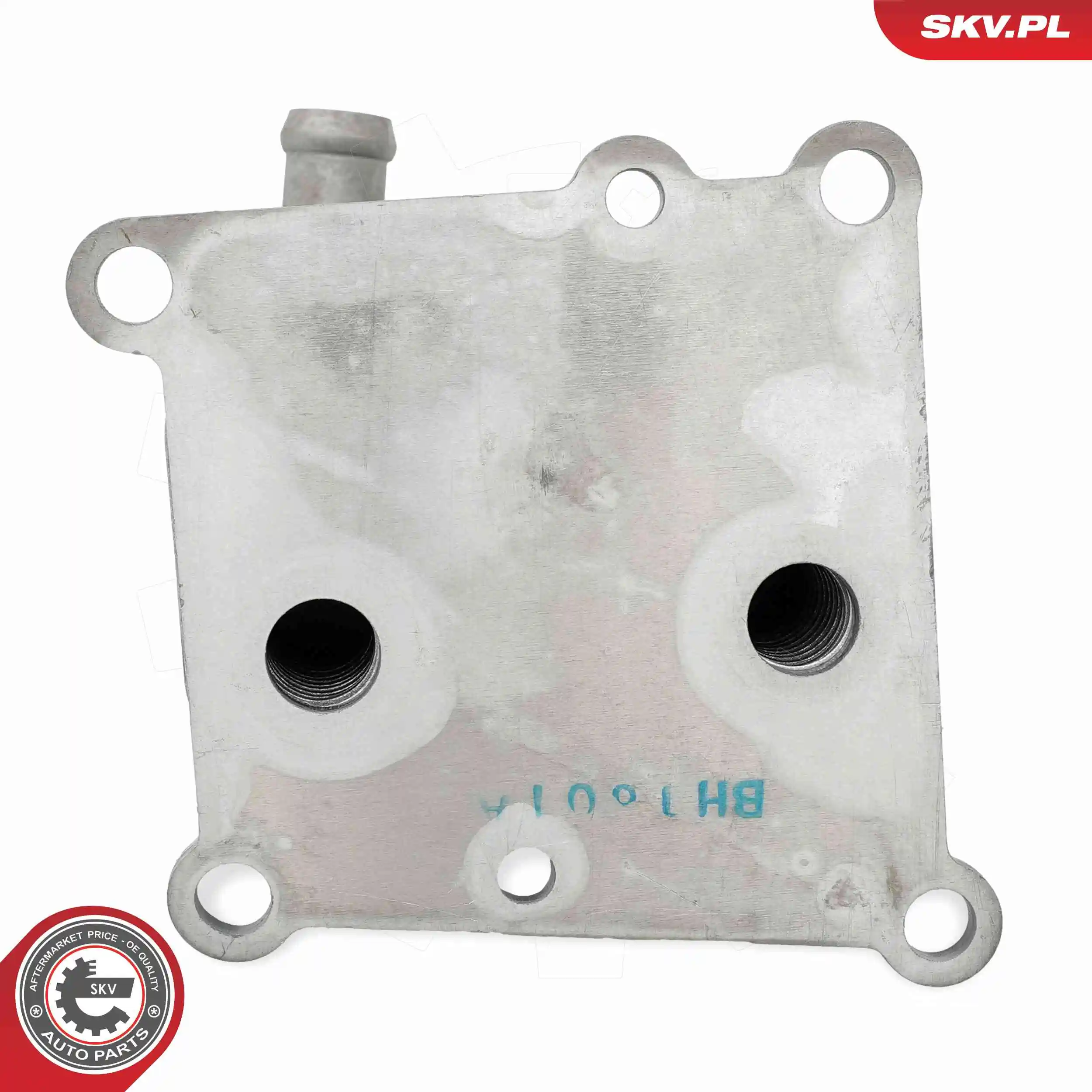 Oil Cooler, engine oil 31SKV358