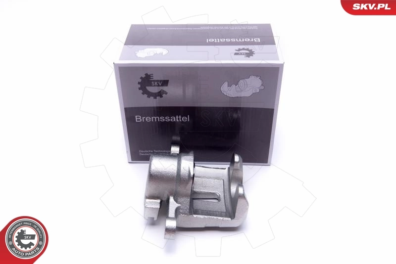 Brake Caliper 55SKV804
