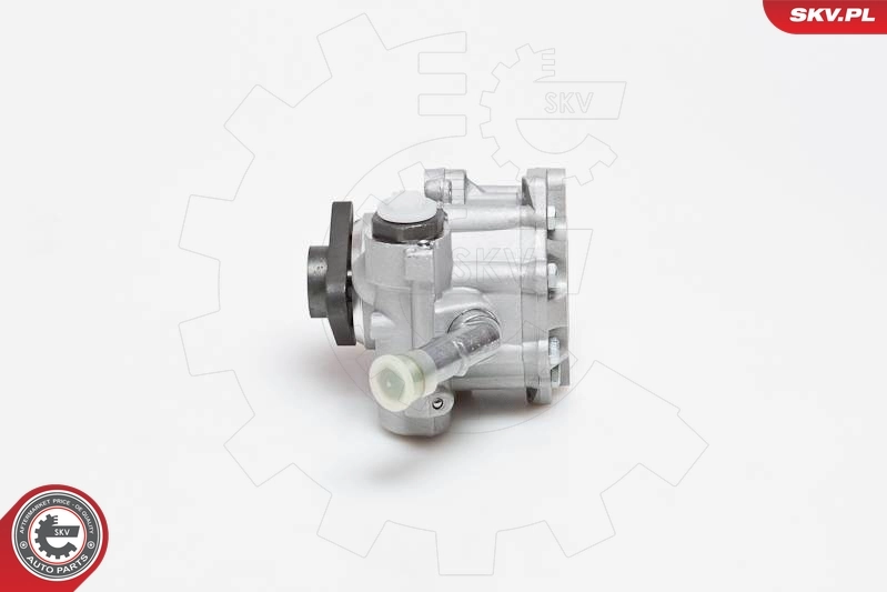 Hydraulic Pump, steering 10SKV129