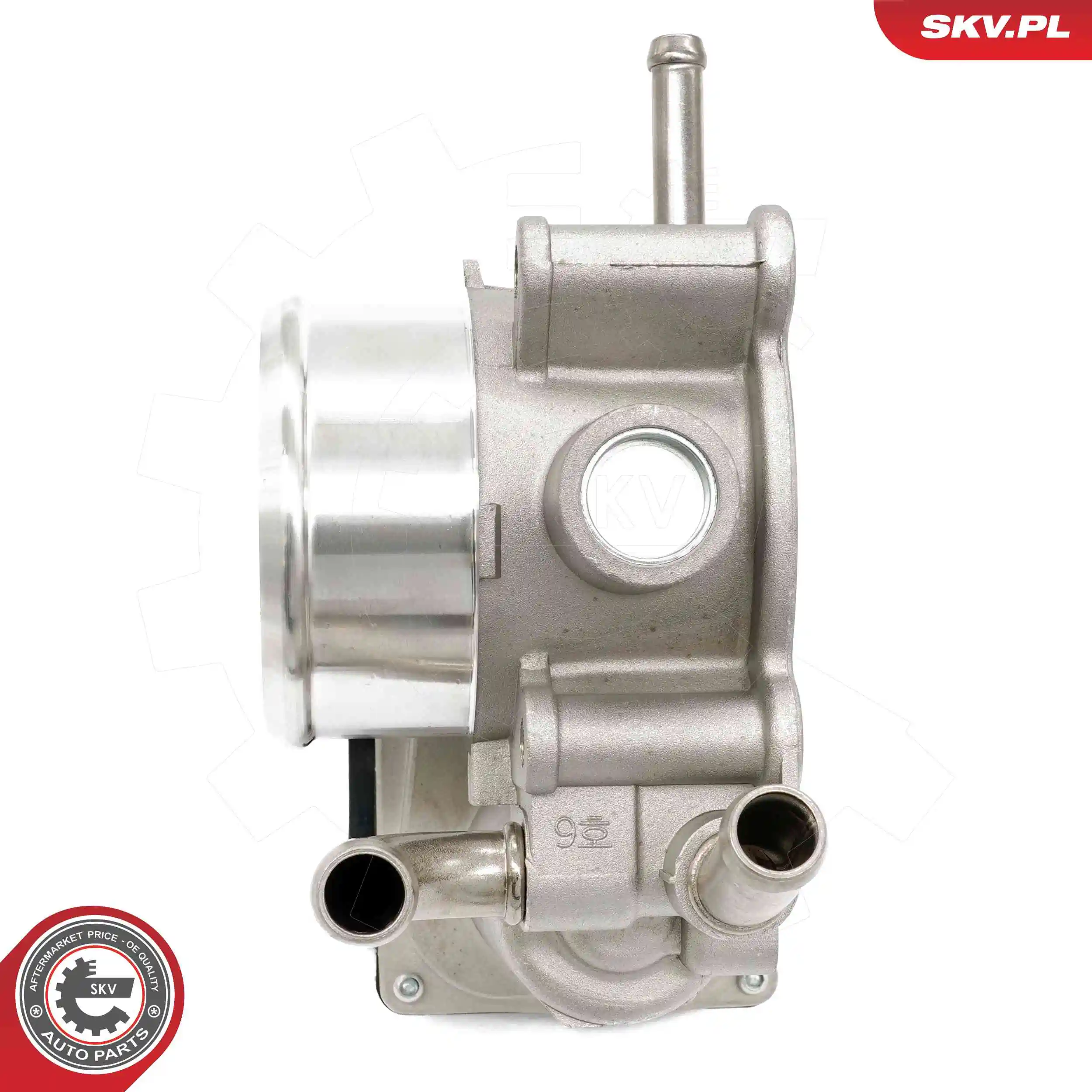 Throttle Body 12SKV134