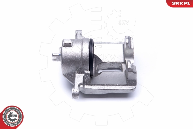 Brake Caliper 23SKV496