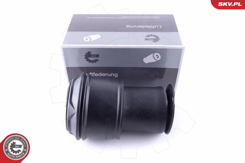Air Spring, suspension 58SKV023