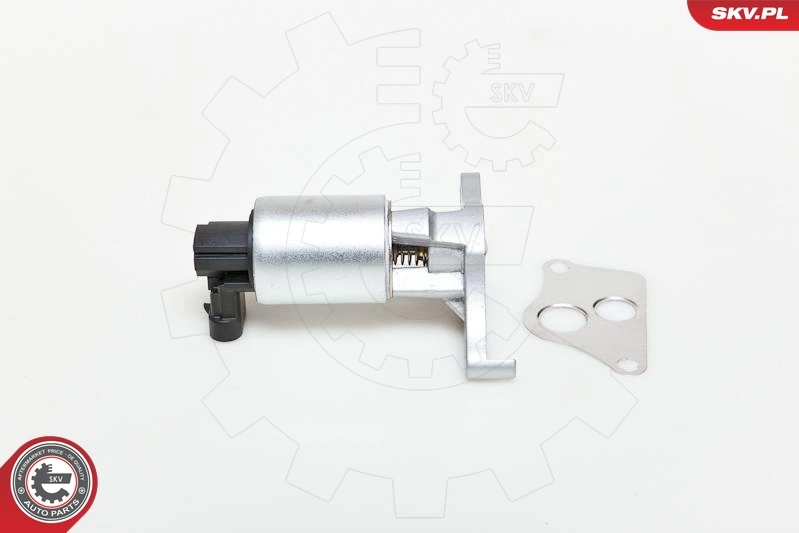 EGR Valve 14SKV013