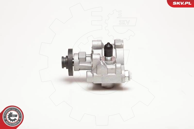 Hydraulic Pump, steering 10SKV054