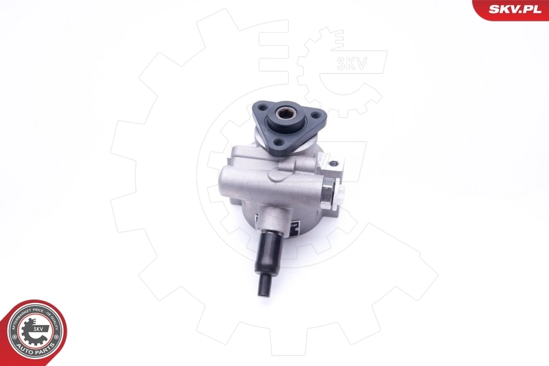 Hydraulic Pump, steering 10SKV258