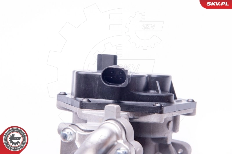 EGR Valve 14SKV151