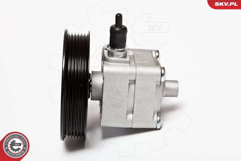 Hydraulic Pump, steering 10SKV033