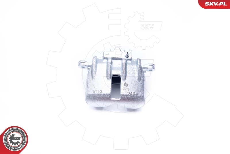 Brake Caliper 42SKV181