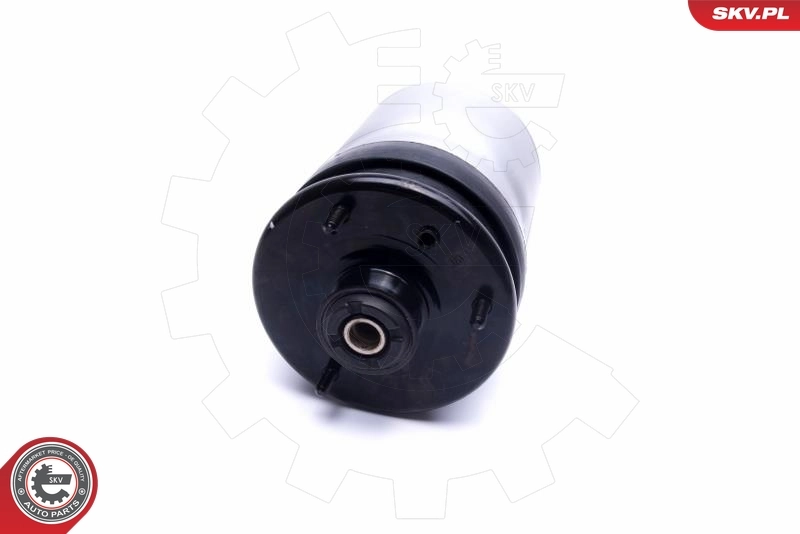 Air Suspension Strut 58SKV059