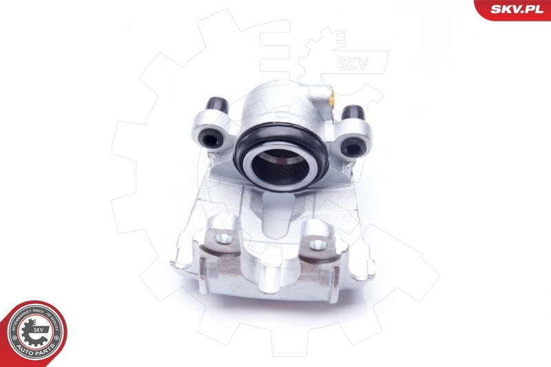 Brake Caliper 42SKV371
