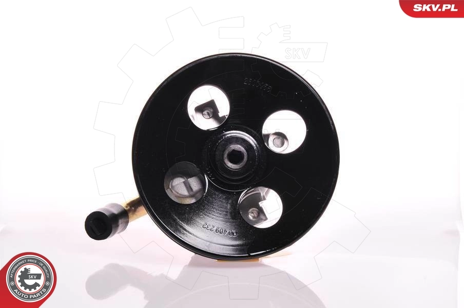 Hydraulic Pump, steering 10SKV142