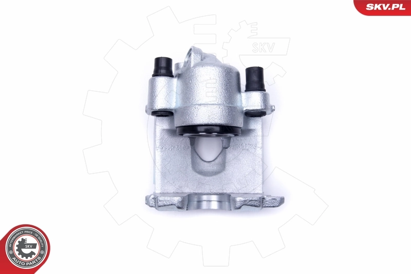 Brake Caliper 50SKV351