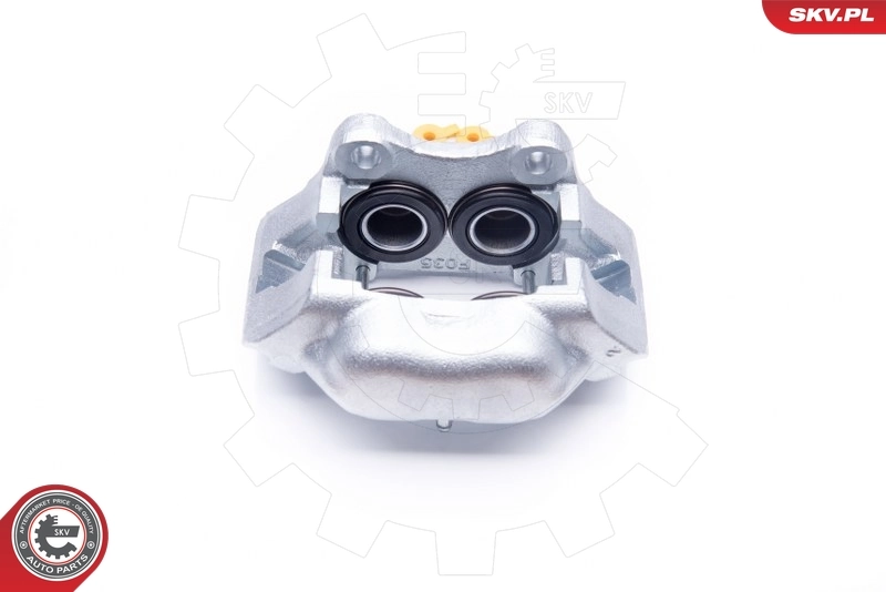 Brake Caliper 42SKV001