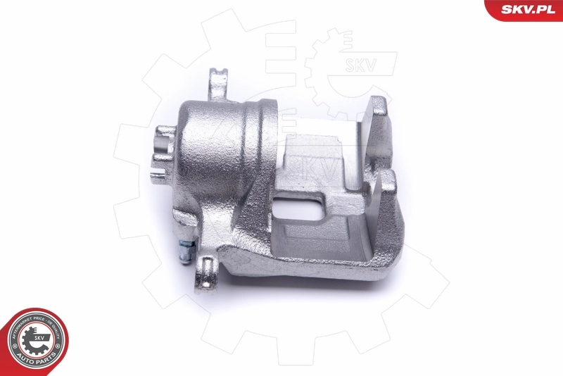 Brake Caliper 50SKV422