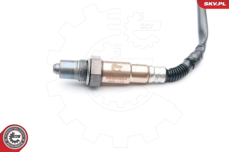 Oxygen Sensor 09SKV684