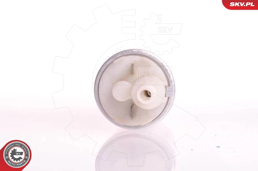 ESEN SKV 02SKV210 Fuel Pump