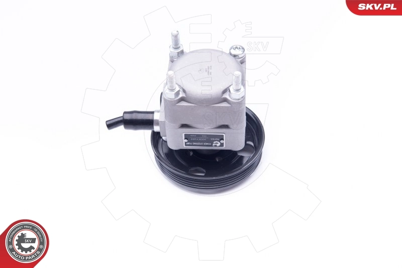 Hydraulic Pump, steering 10SKV257