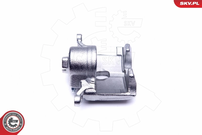 Brake Caliper 45SKV012