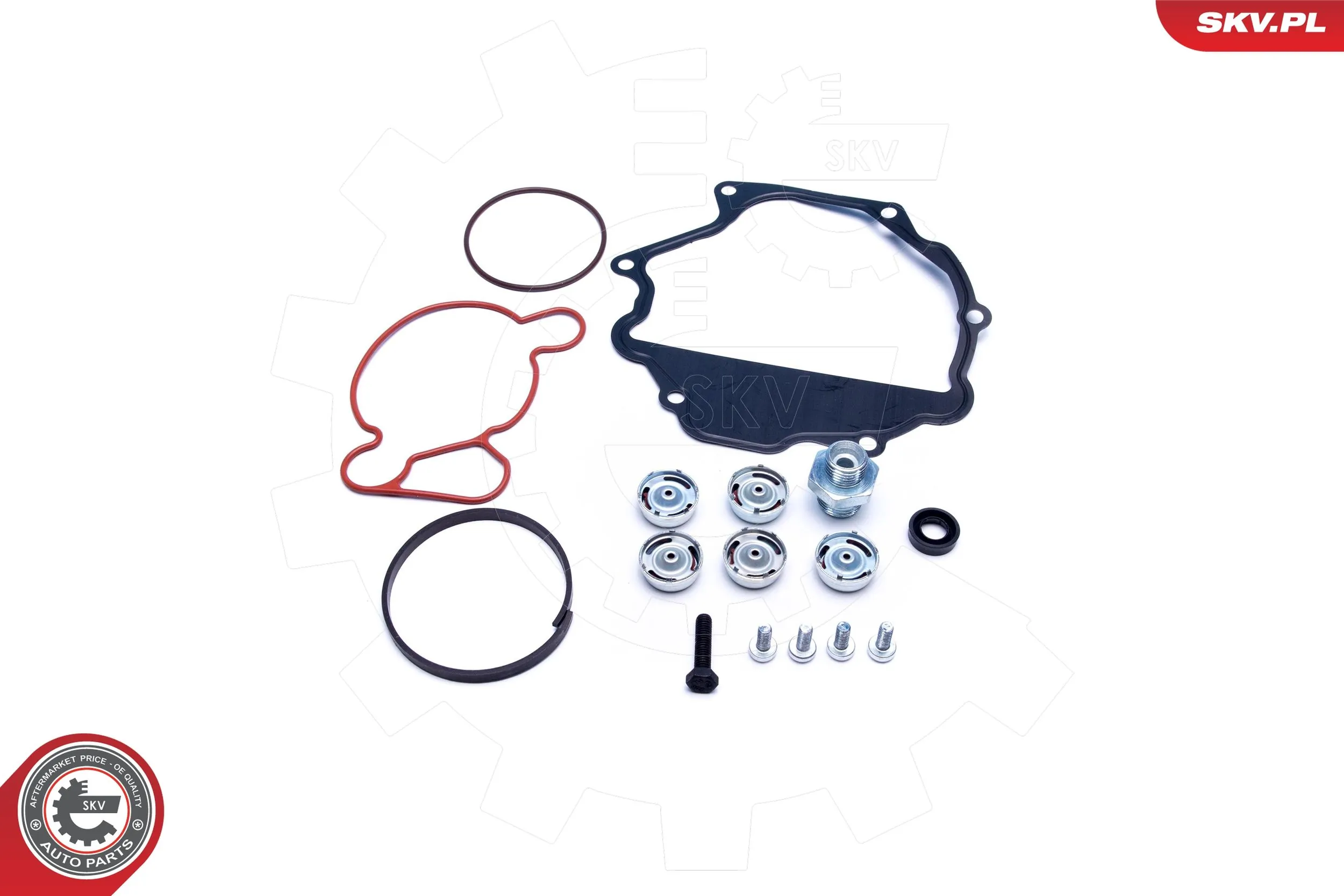 Repair Set, vacuum pump (braking system) 18SKV809