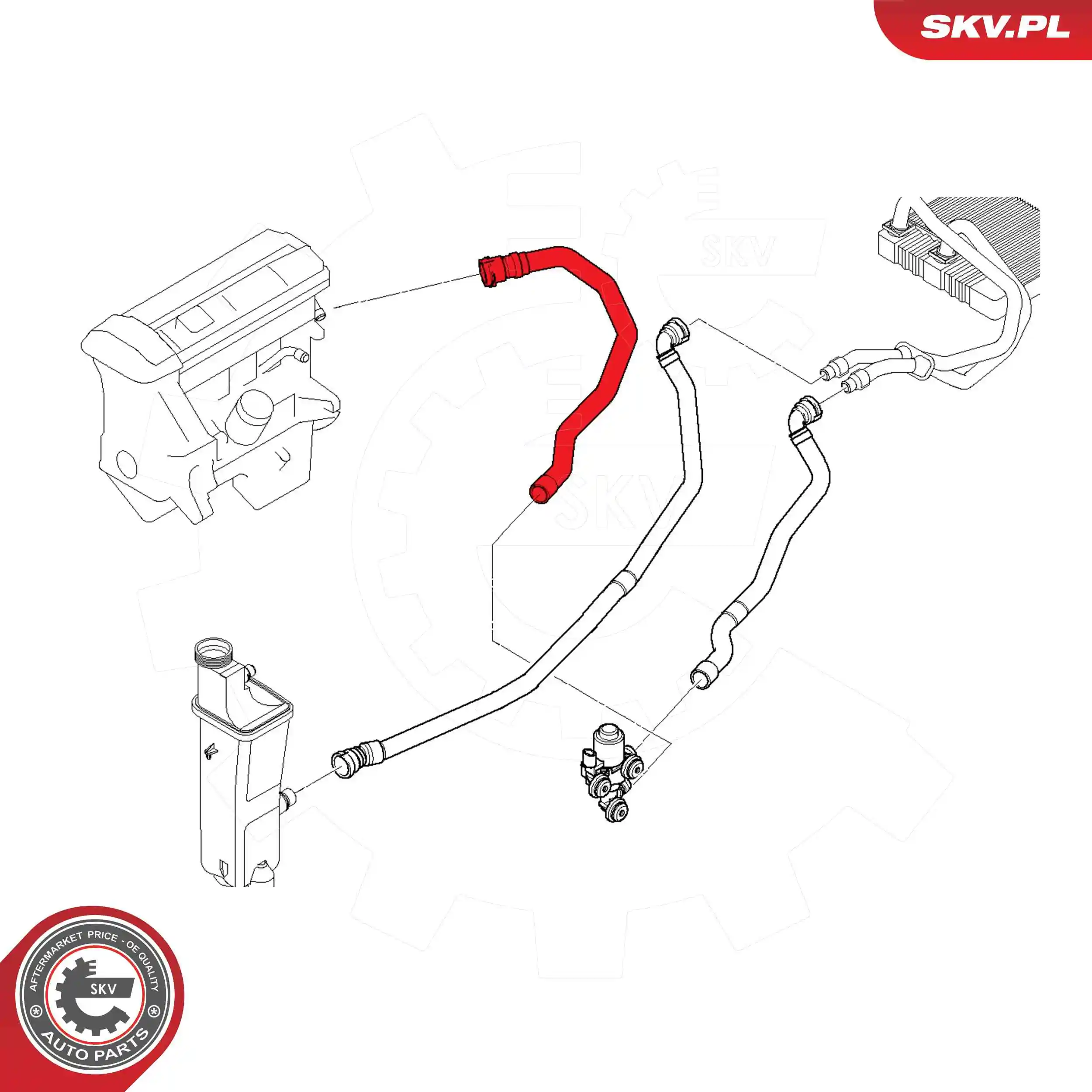 Radiator Hose 54SKV774